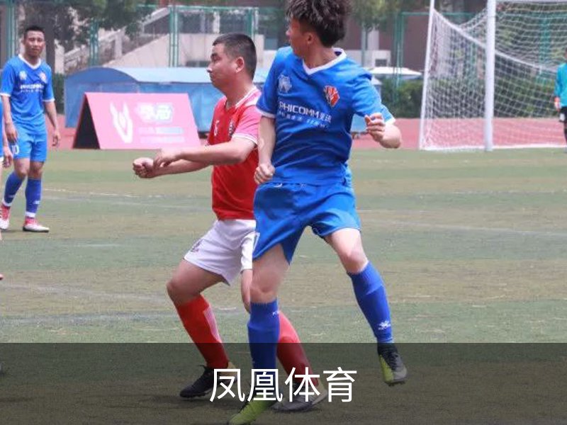 凤凰体育介绍